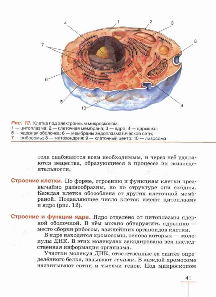 учебник по биологии 8 класс колесов маш беляев скачать бесплатно